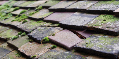 Little Marlow roof repair costs